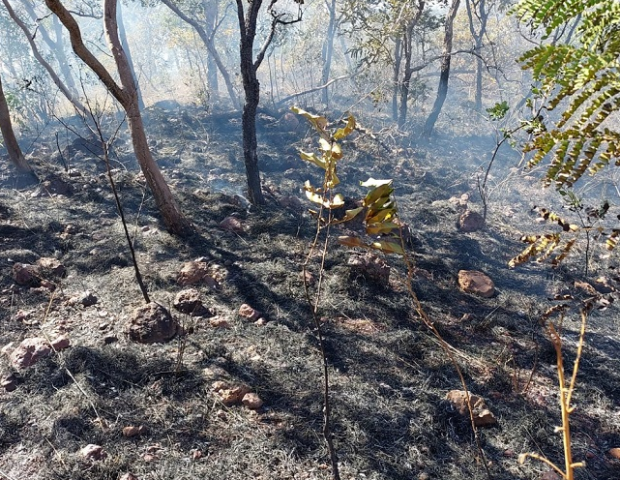 incendio