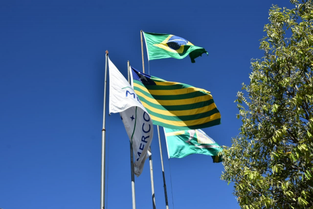 bandeiras