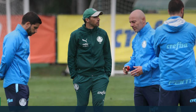 palmeiras