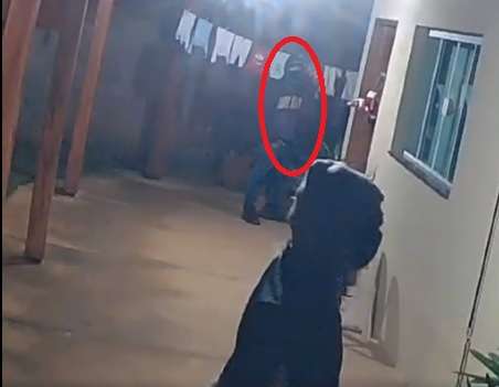 criminsi
