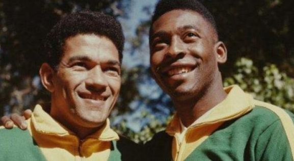 pelegarrincha