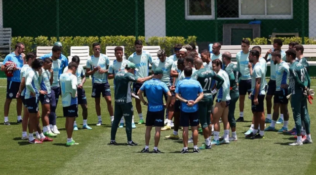 palmeiras