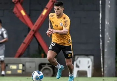 fernandez