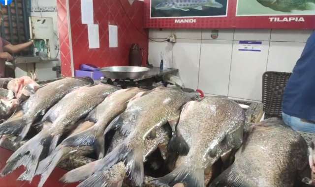 peixesmerca