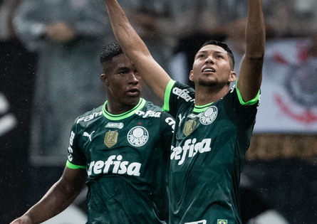 palmeiras