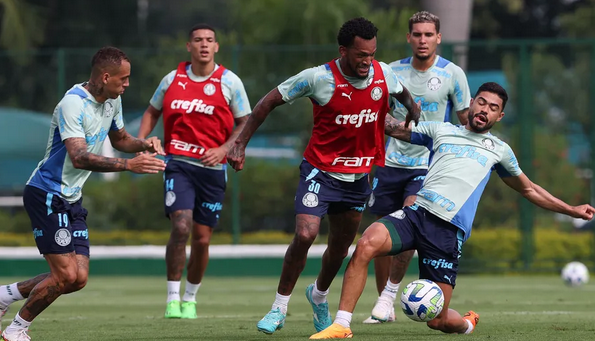 palmeiras