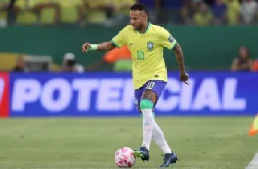 selbrasileira