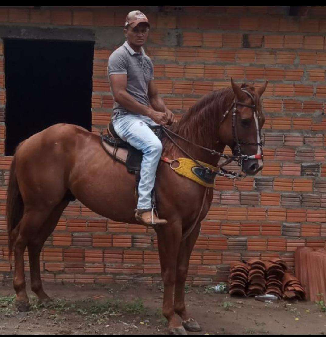 marciel1