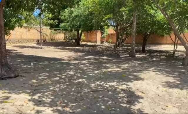 quintar