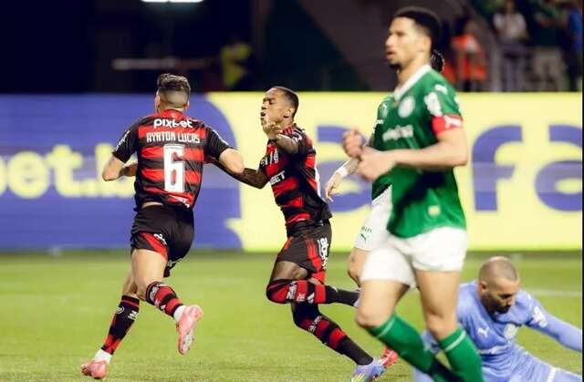 flapalmeiras