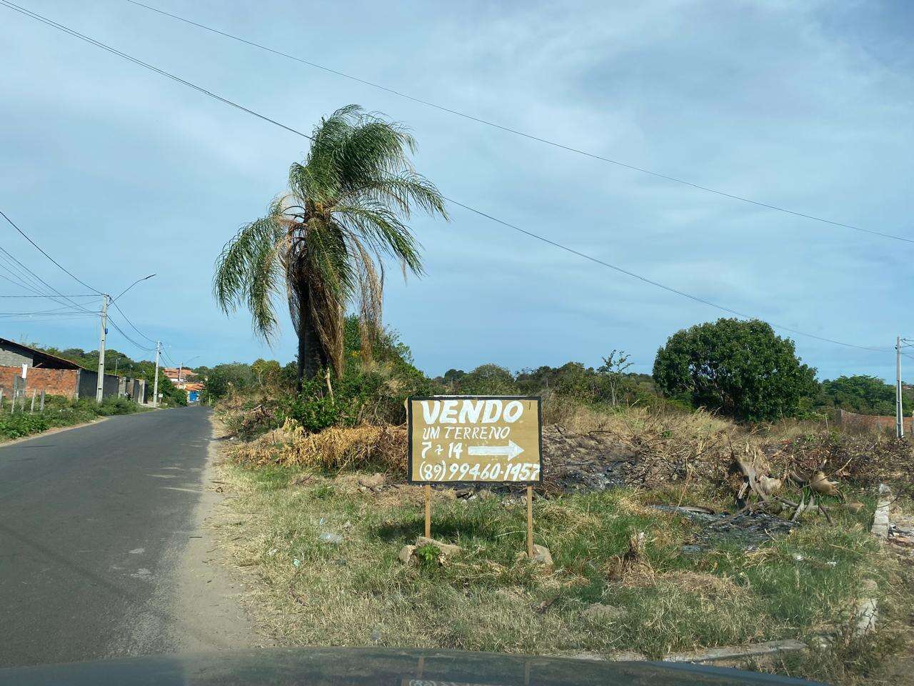 terreno