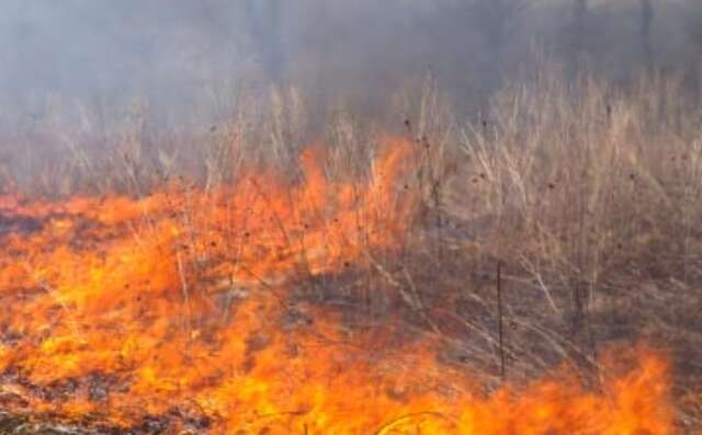 Incêndio em Bertolínia-PI mobiliza autoridades e preocupa moradores