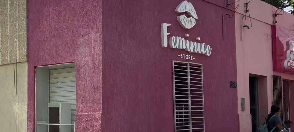 feminice