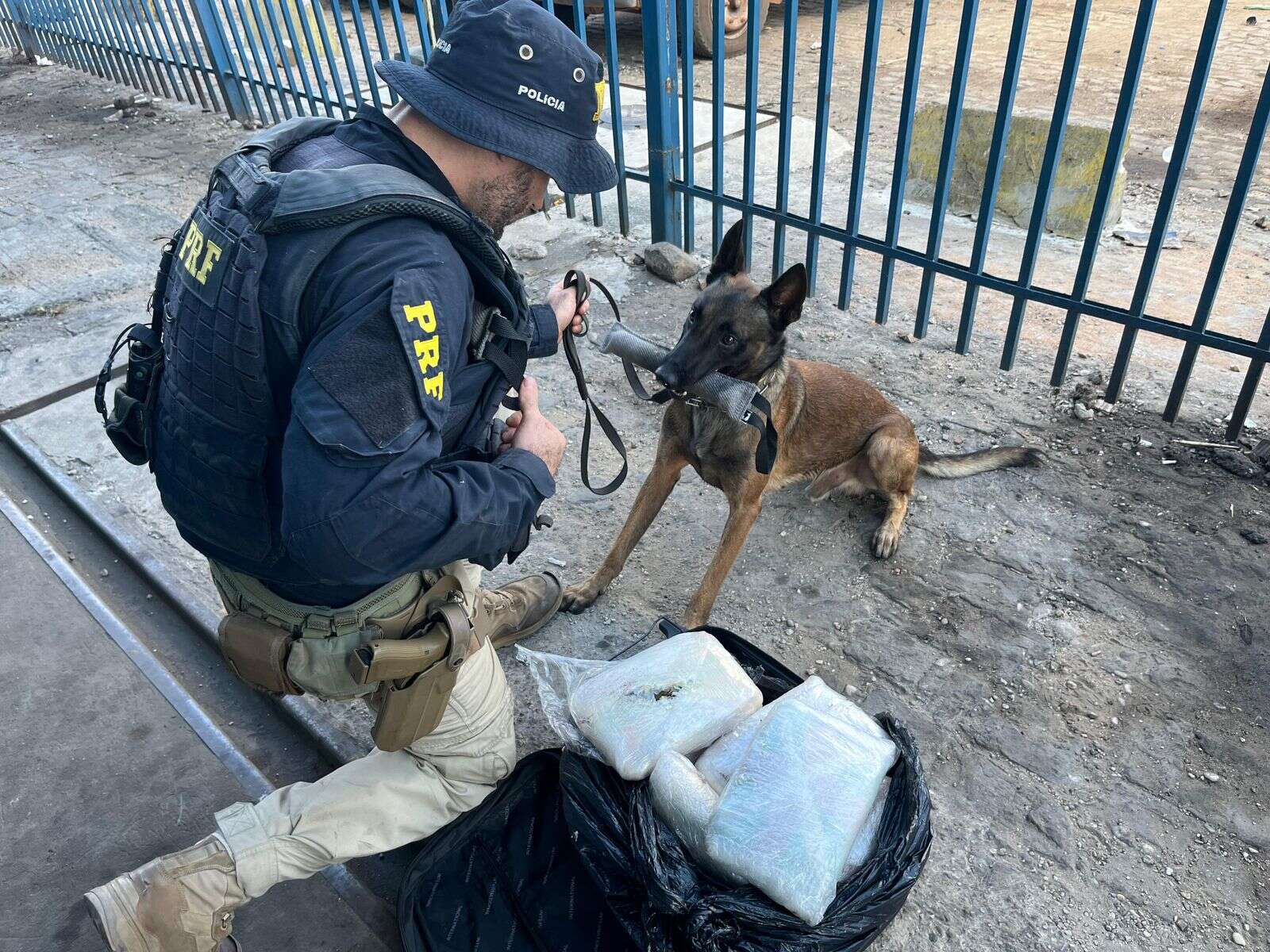 k9