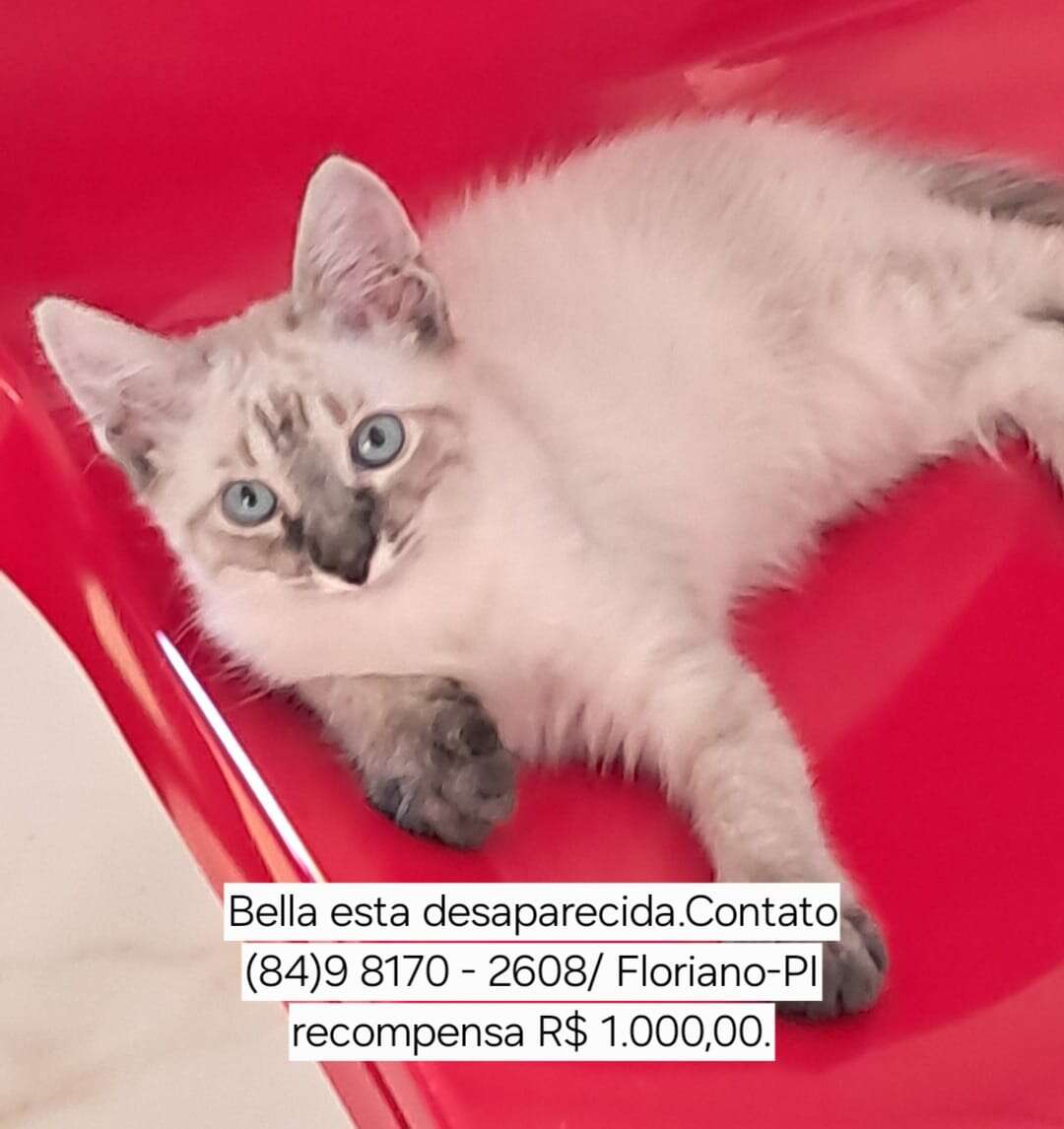 belala
