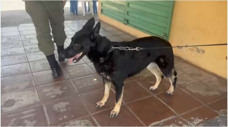 Operação policial é realizada na região do Cais da Beira rio, em Floriano. Já houve conduções.
