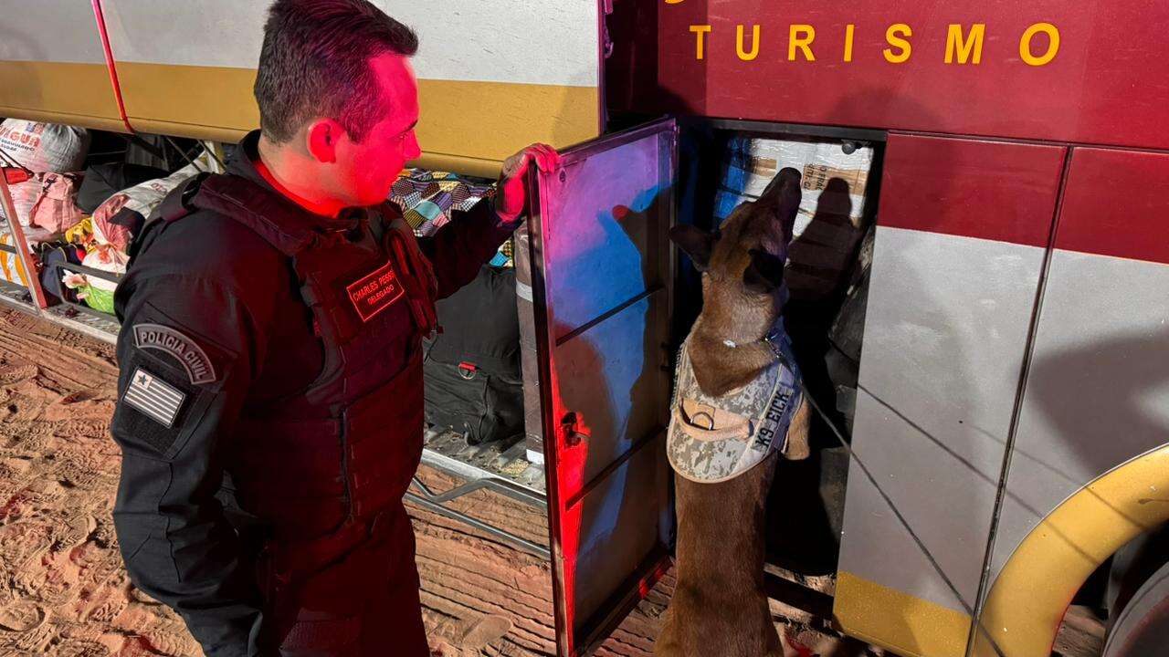 cae