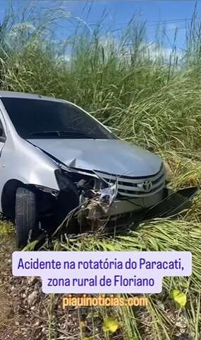 paracat