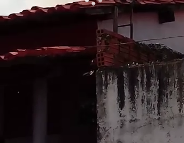 casaincedio