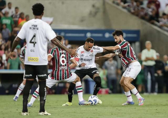flusantos
