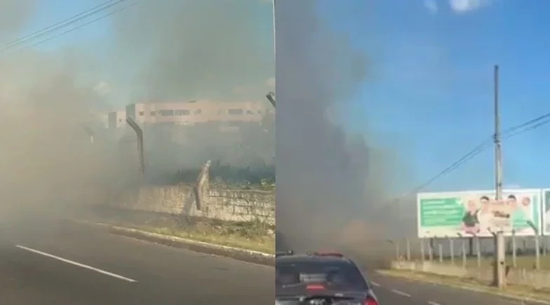 fumaça