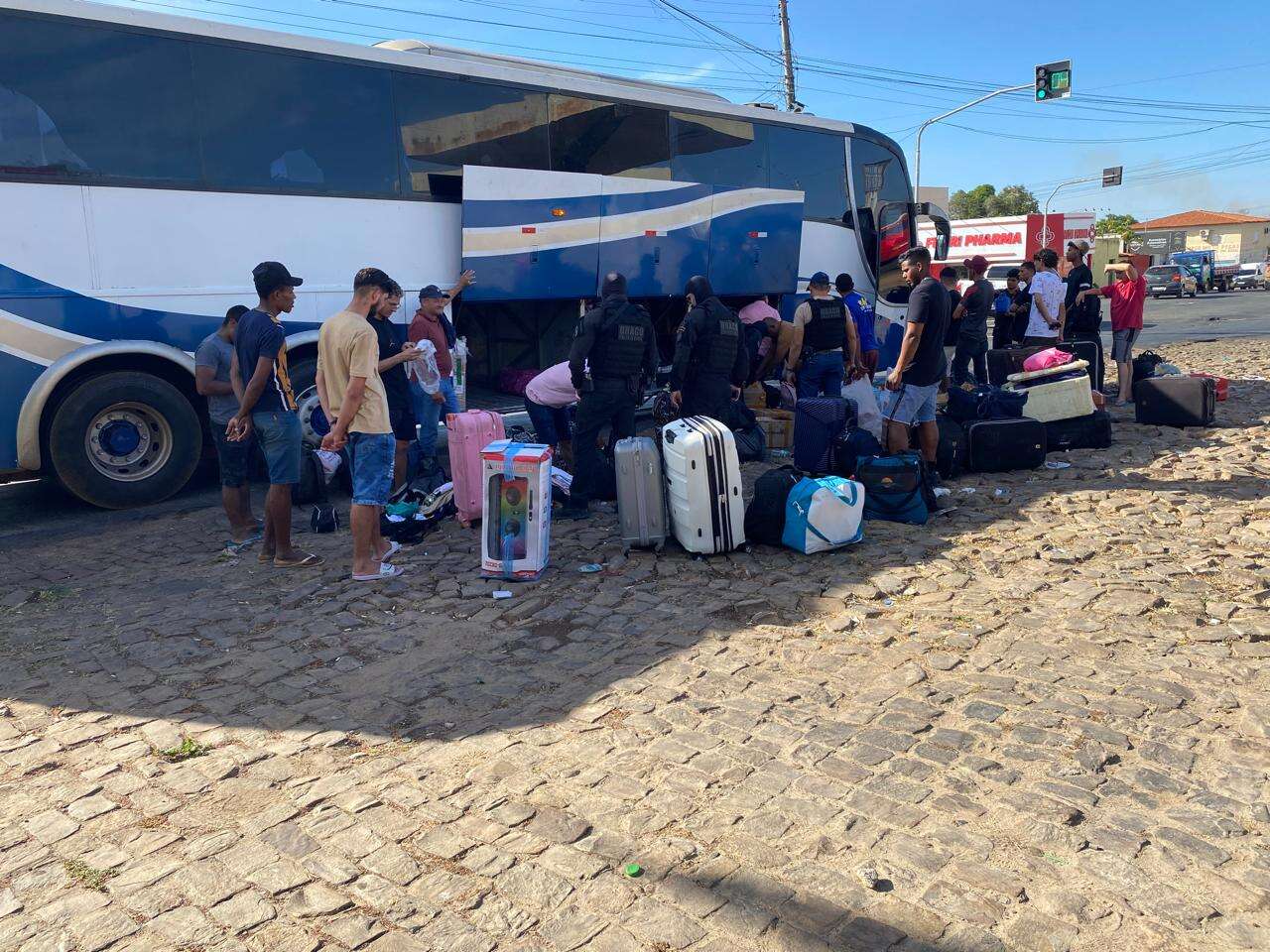 omibusemflorianodraco