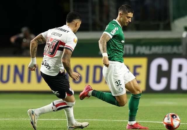 palmeiras