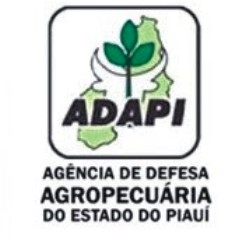 adapi