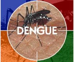 dengue mos