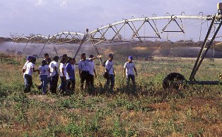 agropecuaria