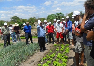 cursodeproducaoagricola3122012