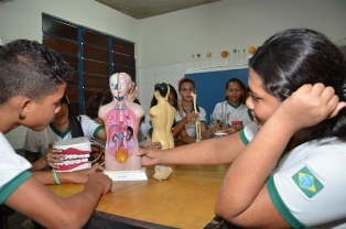 escola1132013