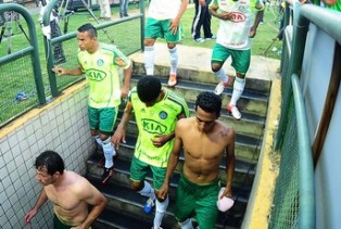 palmeiras19112012