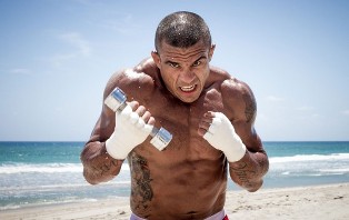 vitorbelfort2942013